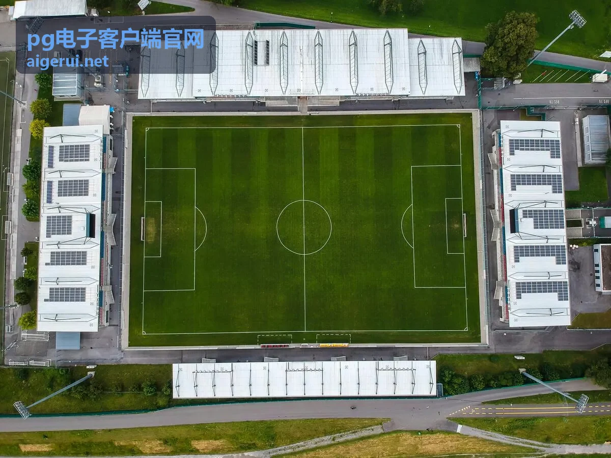 pg电子客户端官网高清显示效果展示